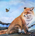 The Fox and the Butterfly